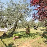 Tatil Evi Casa Alfredo *