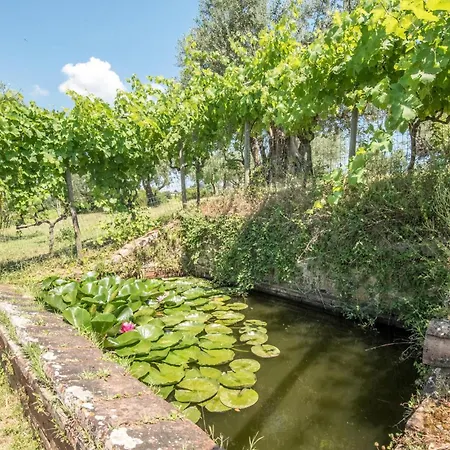 Casa Alfredo בית נופש סיינה